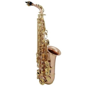 Roy Benson AS-202G Alto Saxofón vyobraziť