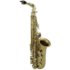 Roy Benson AS-302 Alto Saxofón vyobraziť