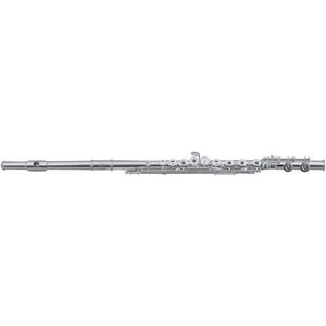 Roy Benson FL-602RE Koncertná priečna flauta vyobraziť