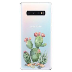 Plastové puzdro iSaprio - Cacti 01 - Samsung Galaxy S10+ vyobraziť
