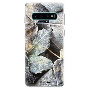 Plastové puzdro iSaprio - Old Leaves 01 - Samsung Galaxy S10 vyobraziť