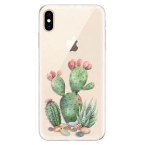 Silikónové puzdro iSaprio - Cacti 01 - iPhone XS Max vyobraziť