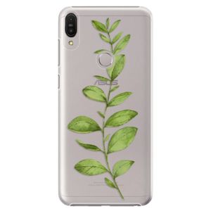 Plastové puzdro iSaprio - Green Plant 01 - Asus Zenfone Max Pro ZB602KL vyobraziť