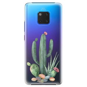 Plastové puzdro iSaprio - Cacti 02 - Huawei Mate 20 Pro vyobraziť