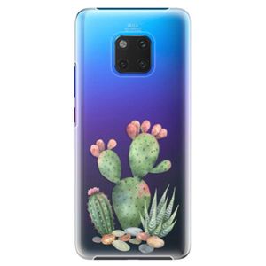 Plastové puzdro iSaprio - Cacti 01 - Huawei Mate 20 Pro vyobraziť