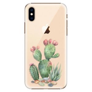Plastové puzdro iSaprio - Cacti 01 - iPhone XS vyobraziť