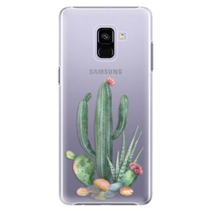 Plastové puzdro iSaprio - Cacti 02 - Samsung Galaxy A8+ vyobraziť
