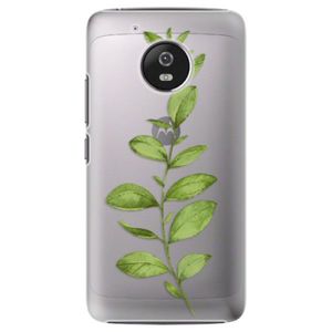 Plastové puzdro iSaprio - Green Plant 01 - Lenovo Moto G5 vyobraziť
