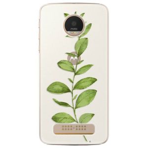 Plastové puzdro iSaprio - Green Plant 01 - Lenovo Moto Z Play vyobraziť