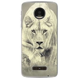 Plastové puzdro iSaprio - Lioness 01 - Lenovo Moto Z vyobraziť