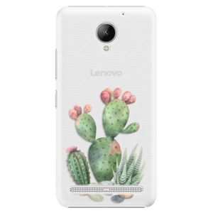 Plastové puzdro iSaprio - Cacti 01 - Lenovo C2 vyobraziť