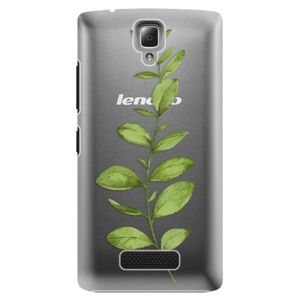 Plastové puzdro iSaprio - Green Plant 01 - Lenovo A2010 vyobraziť