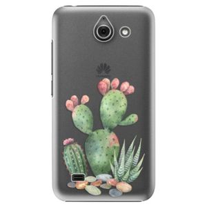 Plastové puzdro iSaprio - Cacti 01 - Huawei Ascend Y550 vyobraziť