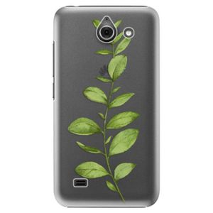 Plastové puzdro iSaprio - Green Plant 01 - Huawei Ascend Y550 vyobraziť