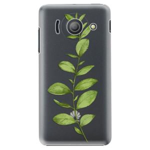 Plastové puzdro iSaprio - Green Plant 01 - Huawei Ascend Y300 vyobraziť