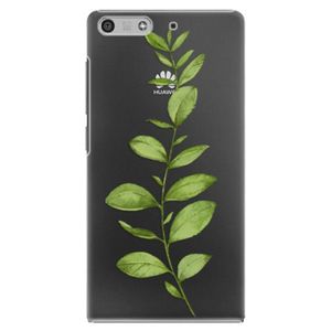 Plastové puzdro iSaprio - Green Plant 01 - Huawei Ascend P7 Mini vyobraziť