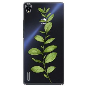Plastové puzdro iSaprio - Green Plant 01 - Huawei Ascend P7 vyobraziť