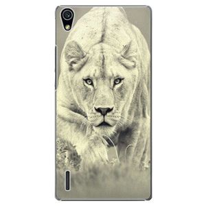 Plastové puzdro iSaprio - Lioness 01 - Huawei Ascend P7 vyobraziť