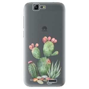 Plastové puzdro iSaprio - Cacti 01 - Huawei Ascend G7 vyobraziť
