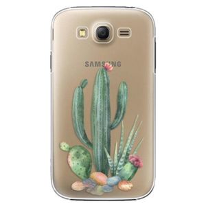 Plastové puzdro iSaprio - Cacti 02 - Samsung Galaxy Grand Neo Plus vyobraziť