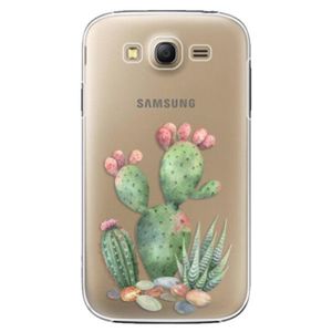 Plastové puzdro iSaprio - Cacti 01 - Samsung Galaxy Grand Neo Plus vyobraziť