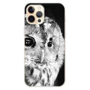 Odolné silikónové puzdro iSaprio - BW Owl - iPhone 12 Pro Max vyobraziť