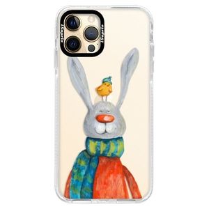 Silikónové puzdro Bumper iSaprio - Rabbit And Bird - iPhone 12 Pro Max vyobraziť