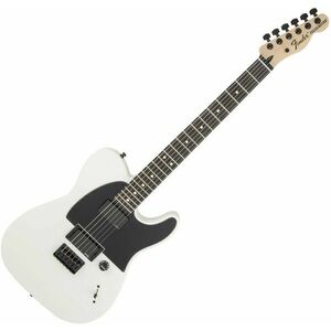 Fender Jim Root Telecaster Flat White vyobraziť