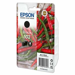 EPSON C13T09Q14010 - originálna cartridge, čierna, 4, 6ml vyobraziť