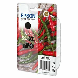 EPSON C13T09R14010 - originálna cartridge, čierna, 9, 2ml vyobraziť
