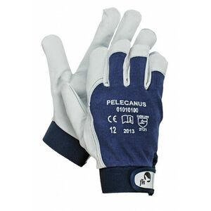 PELECANUS rukavice - 9 vyobraziť