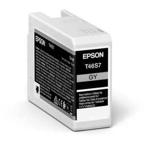 EPSON C13T46S700 - originálna cartridge, sivá vyobraziť