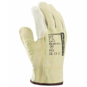 Zimné rukavice ARDONSAFETY/HILTON WINTER 09/L | A2002/09 vyobraziť