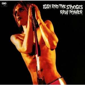 Iggy Pop & The Stooges - Raw Power (2 LP) vyobraziť