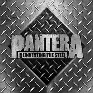 Pantera - Reinventing The Steel (Silver Vinyl) (LP) vyobraziť