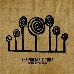 The Pineapple Thief - Nothing But The Truth (2 LP) vyobraziť