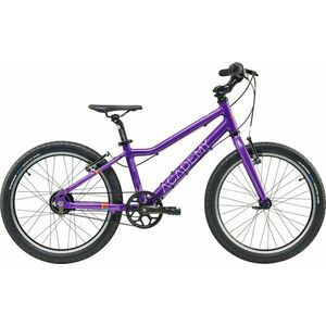 Academy Grade 4 Belt Purple 20" Detský bicykel vyobraziť