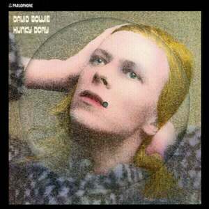 David Bowie - Hunky Dory (Picture Disc) (LP) vyobraziť