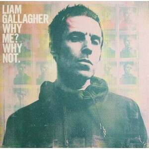 Liam Gallagher Why Me? Why Not. (LP) vyobraziť