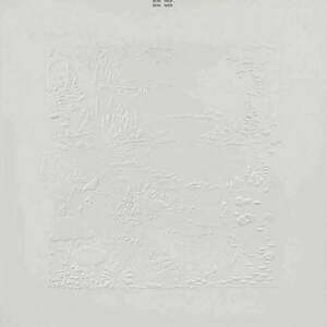 Bon Iver - Bon Iver (10Th Anniversary Edition) (White Vinyl) (2 LP) vyobraziť