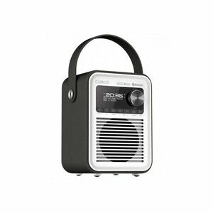 CARNEO D600 Rádio DAB+, FM, BT, black/white vyobraziť