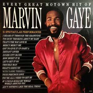Marvin Gaye Every Great Motown Hit Of Marvin Gaye: 15 Spectacular Performances (LP) vyobraziť