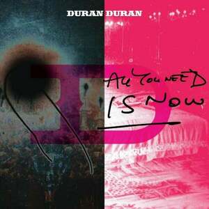 Duran Duran - All You Need Is Now (2 LP) vyobraziť