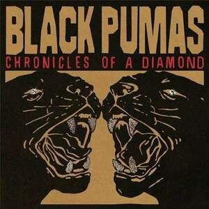 Black Pumas - Chronicles Of A Diamond (Clear Coloured) (LP) vyobraziť