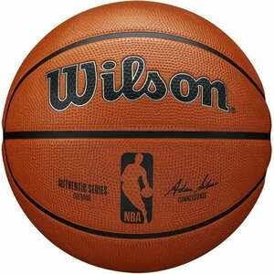 Wilson NBA Authentic Series Outdoor Basketball 5 Basketbal vyobraziť