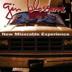Gin Blossoms - New Miserable Experience (LP) vyobraziť