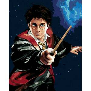 Zuty Maľovanie podľa čísiel Harry Potter a prútik vyobraziť