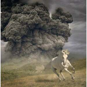 The White Buffalo - Year Of The Dark Horse (LP) vyobraziť