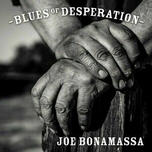 Joe Bonamassa - Blues Of Desperation (High Quality) (Silver Coloured) (Limited Edition) (2 LP) vyobraziť