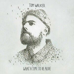 Tom Walker - What a Time To Be Alive (LP) vyobraziť